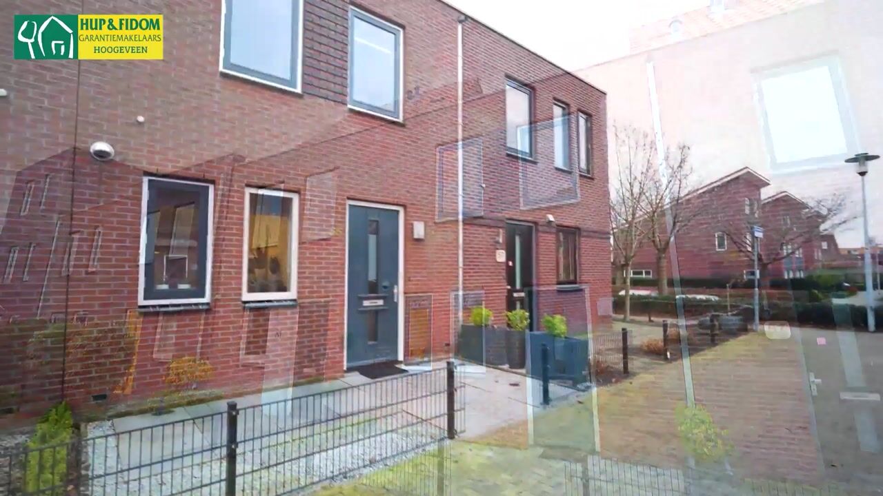 Video of Citroenvlinder 55