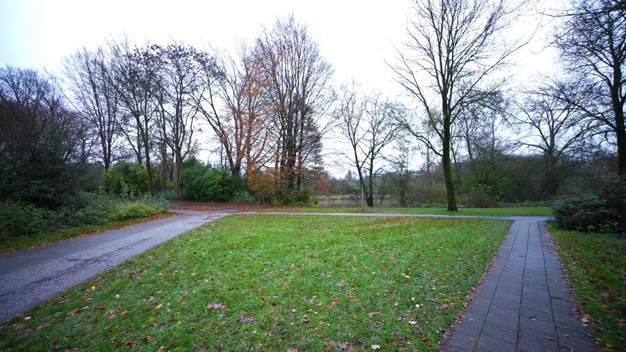 Video of Duizendschoon 12