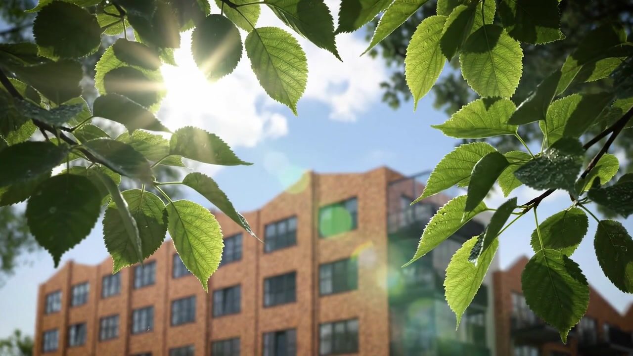 Video of Remisestraat 49