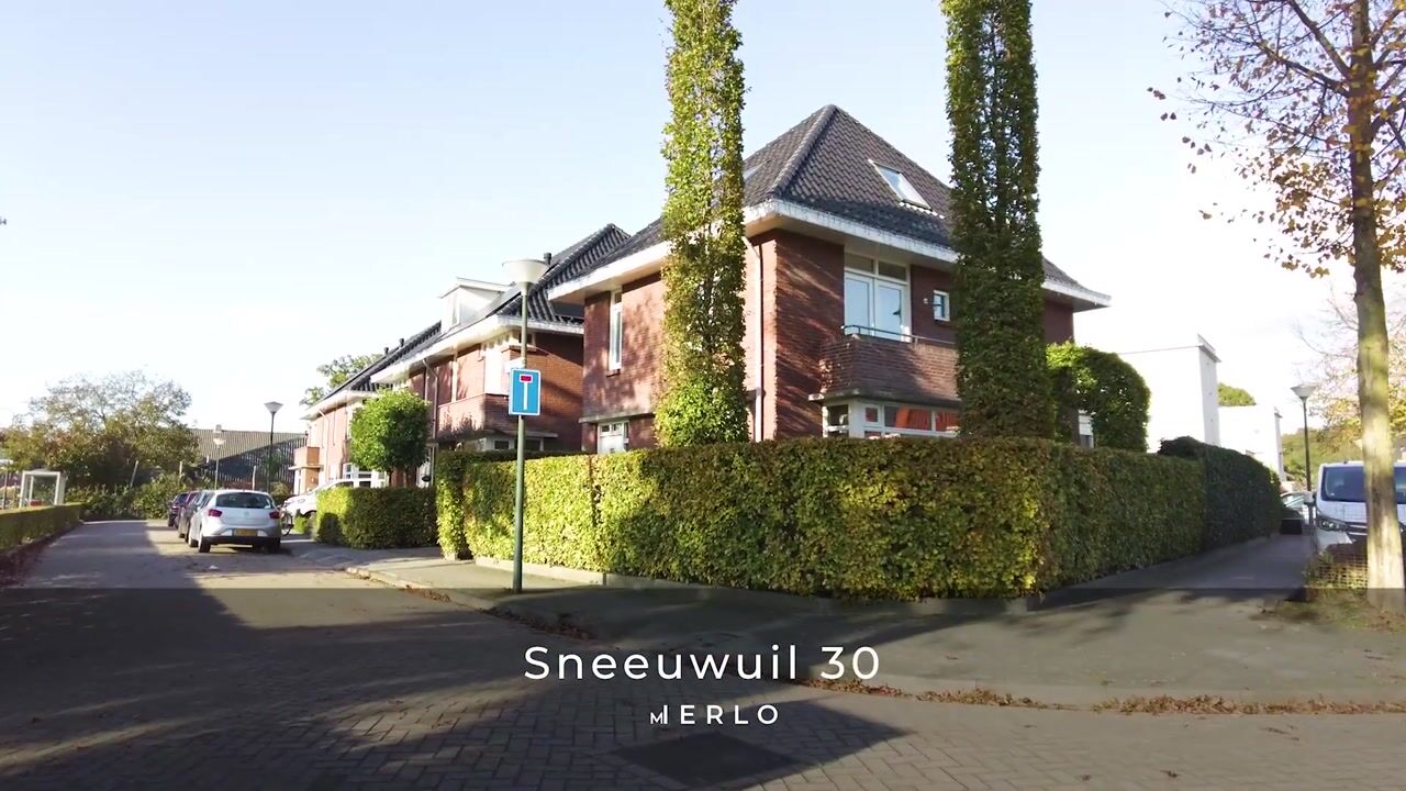 Bekijk video van Sneeuwuil 30