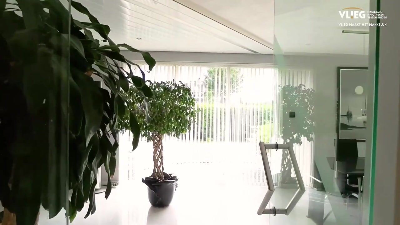 Video of Zwarte Dolfijn 26