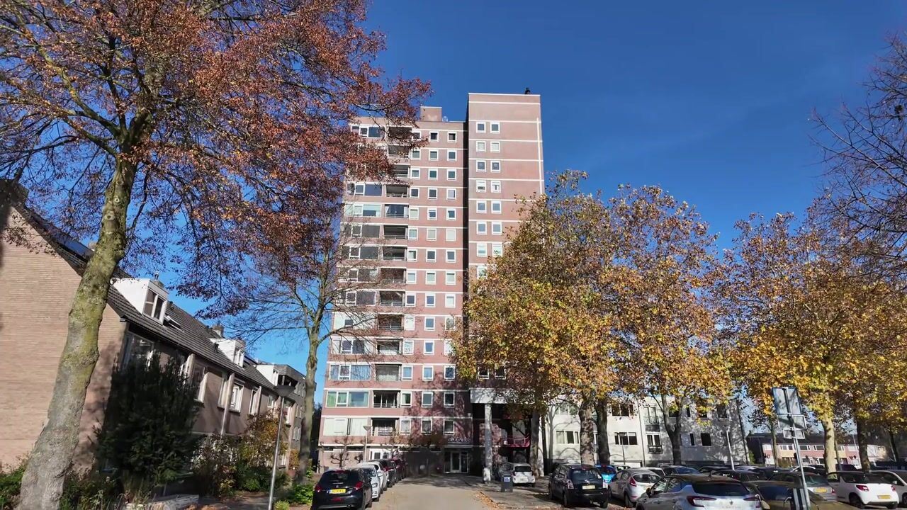 Video van de Greide 61