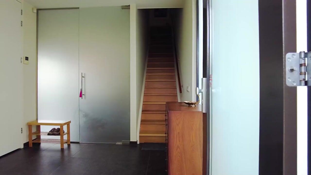 Video van Savelsbosch 25