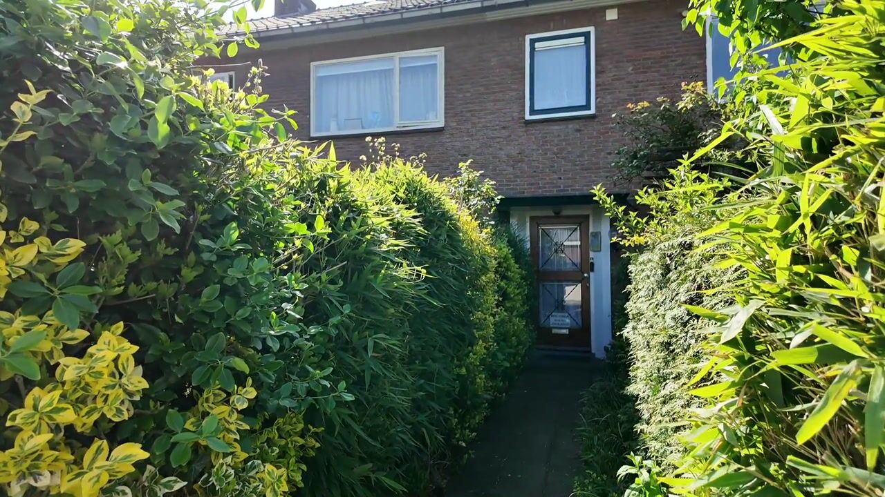 Video van De Schout 8