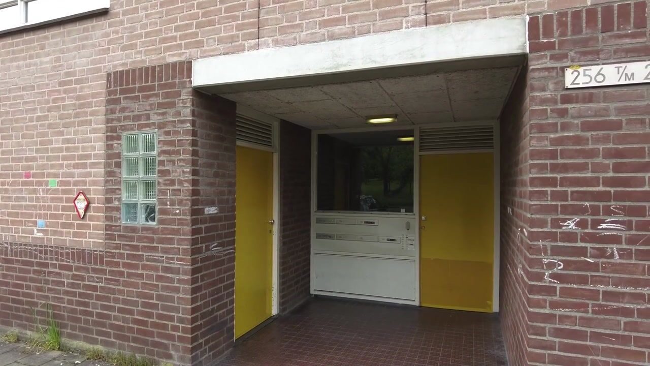 Video van Bernard Shawsingel 268