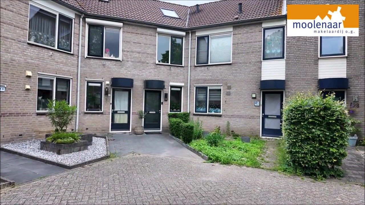 Video van Courtine 19