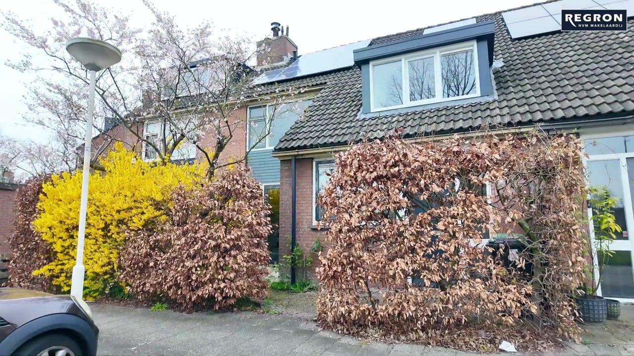 Video of Aïdaschouw 38