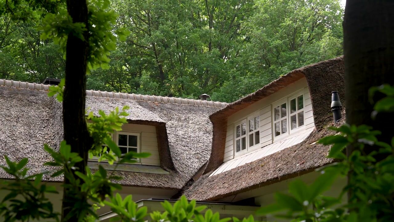 Video van Goorsteeg 102