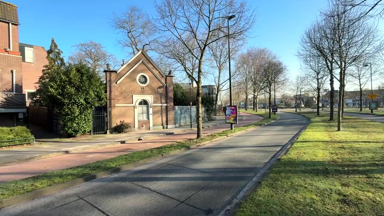 Video van Schapenkamp 250