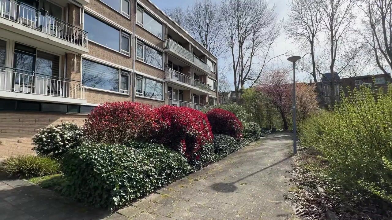 Video van Nieuwenoord 94