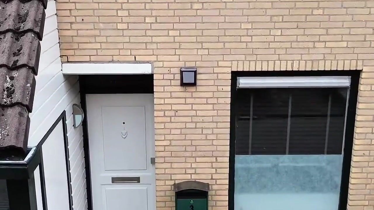 Video van Anjougaard 3