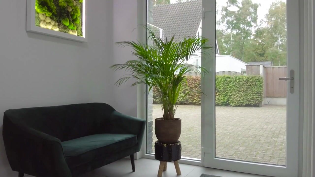 Video van Elferinksweg 10