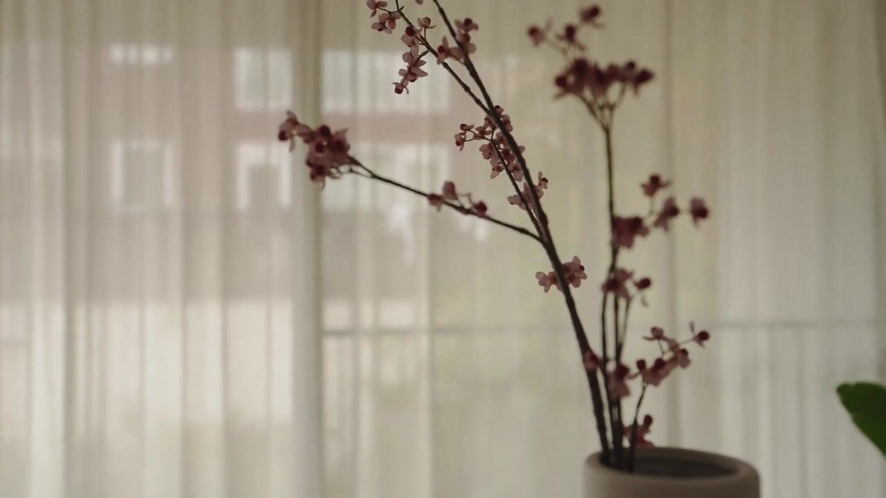 Video van Oostzeedijk 58-A