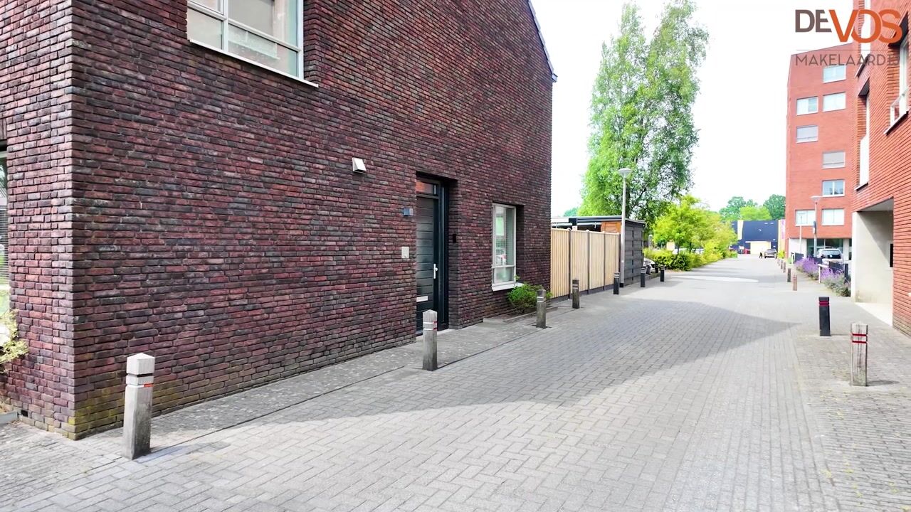 Video of De Malus 2