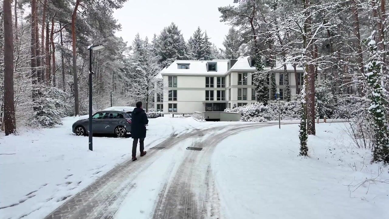 Video of Palisiumpark 8