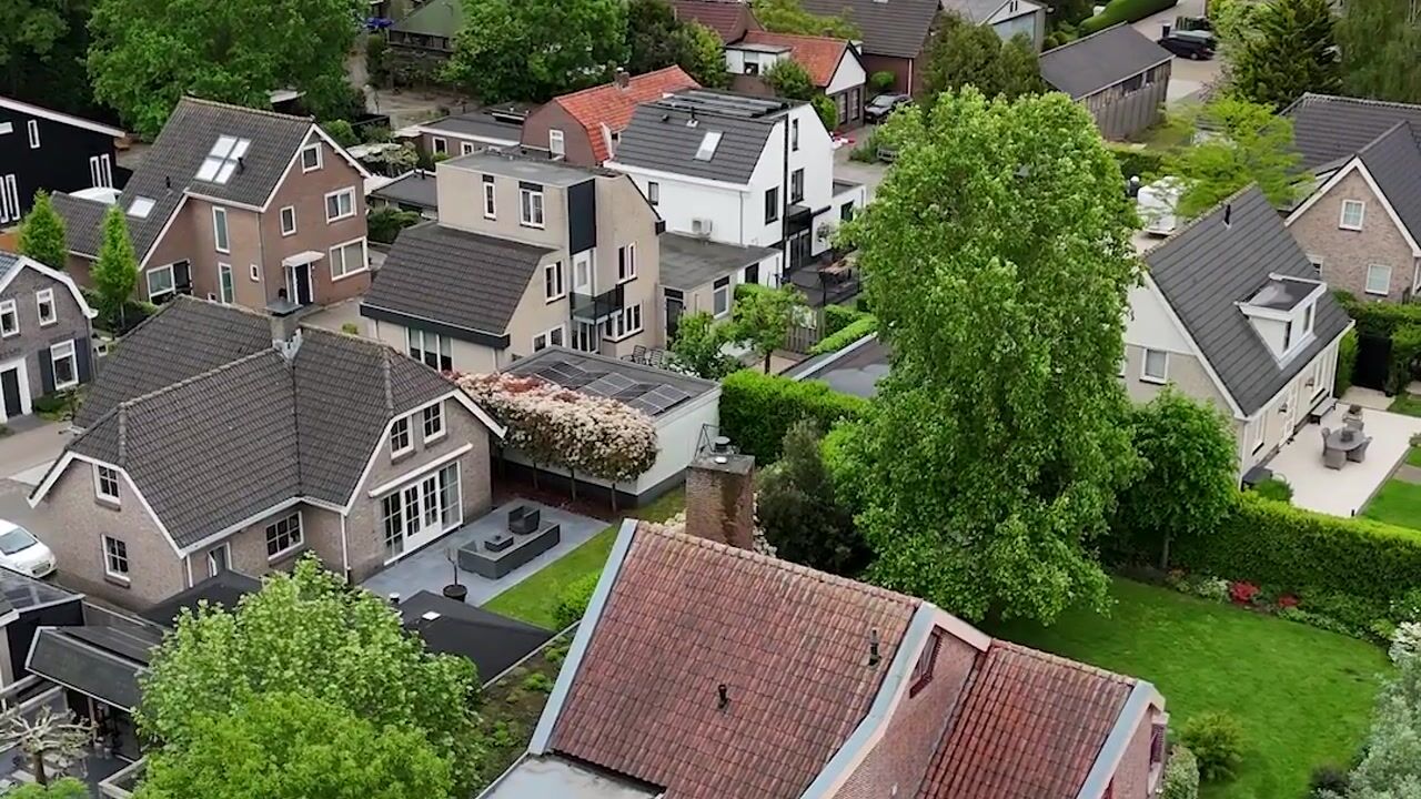 Video van Knobbelzwaan 2