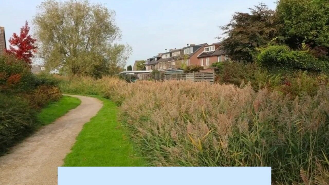 Video of Calslager Bancken 17