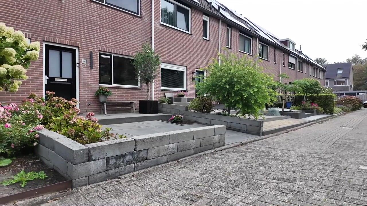 Video van Zwaan 16