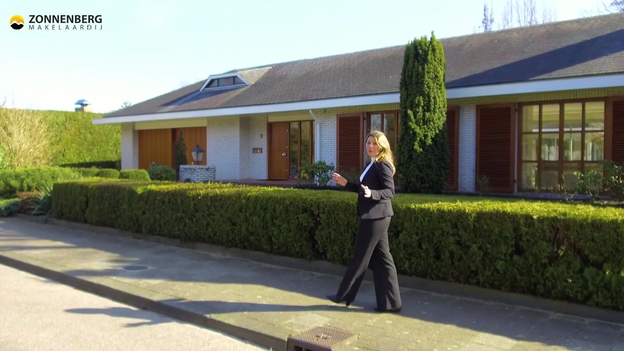 Video van Zuylenburg 3