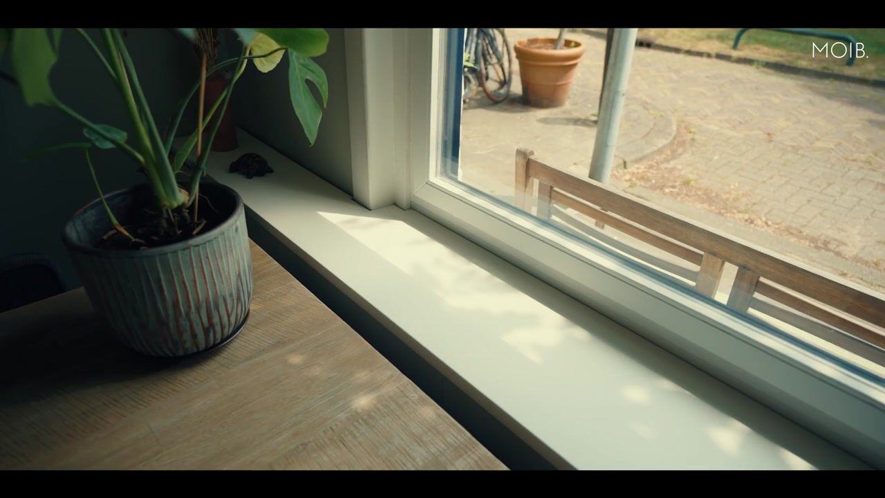 Video of Willem Arntszkade 17