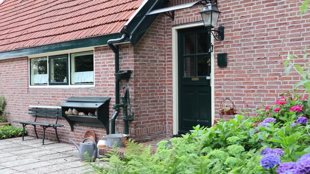 Video van Singel 38