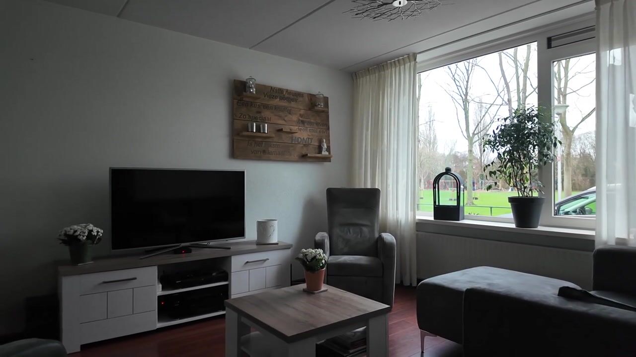 Video van Frankenthaler 42