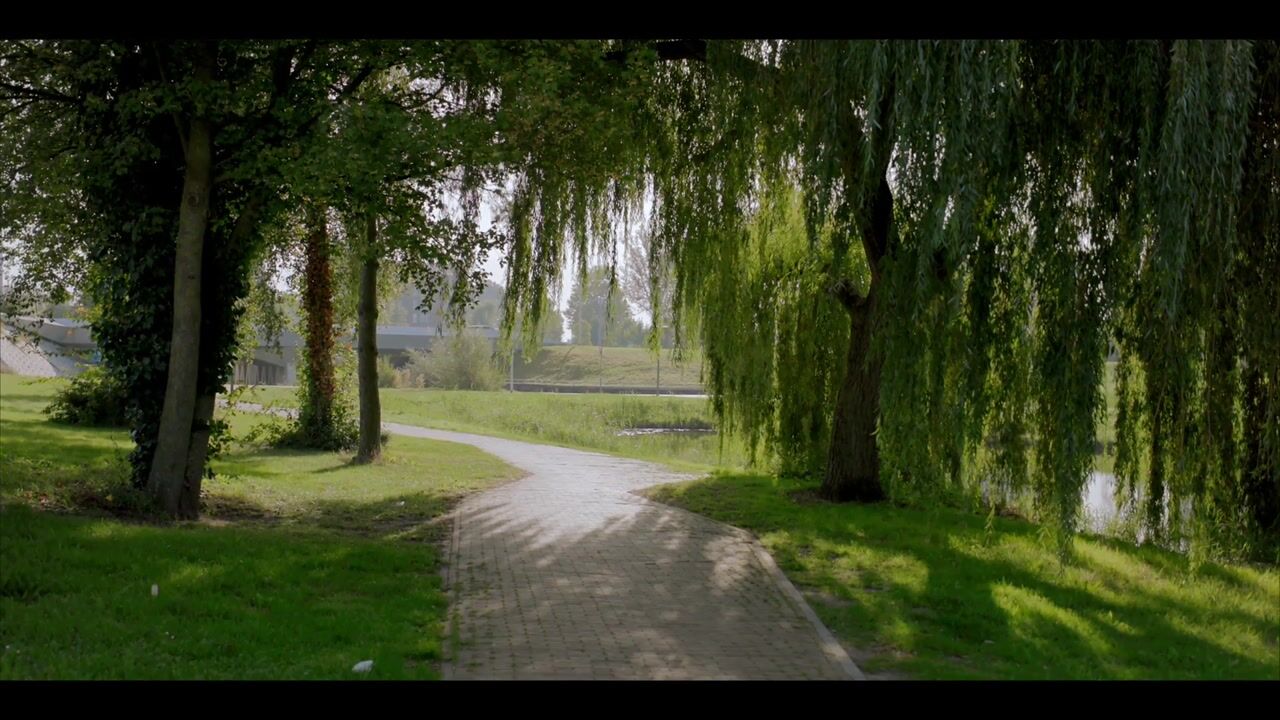 Video van Maasstraat 12