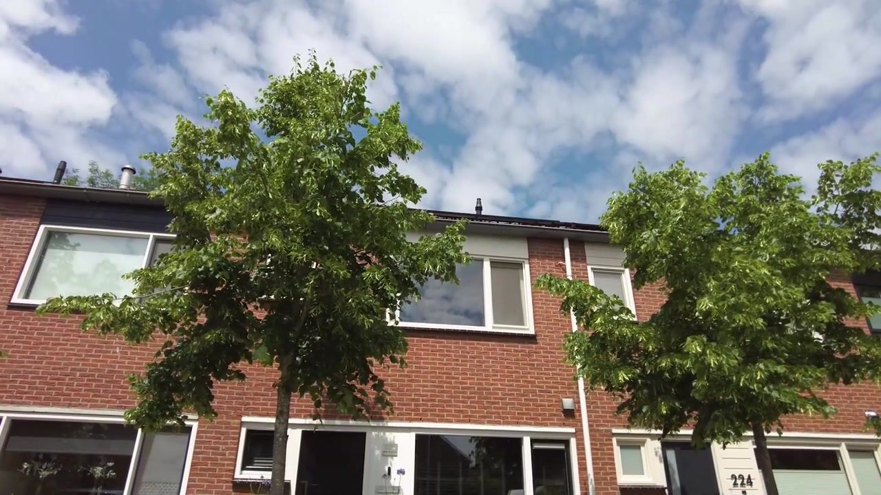 Video of Zilverschoon 226