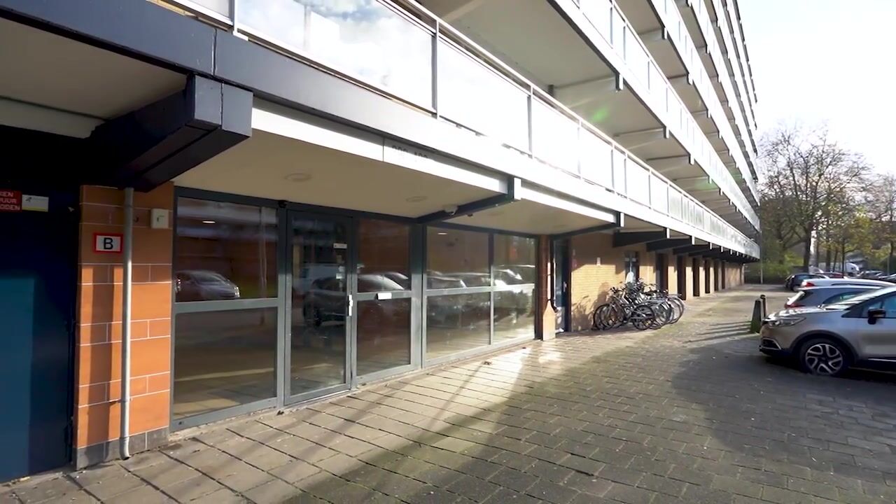 Video of Dunantstraat 466