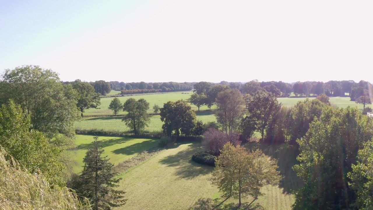 Video van Bolkshoeksweg 16