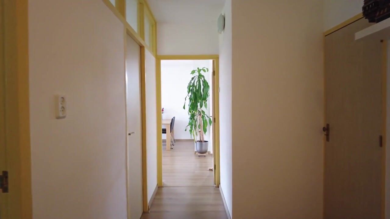 Video of Professor Van der Scheerstraat 221