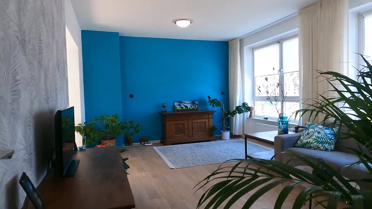 Video of Van Blommesteinstraat 12