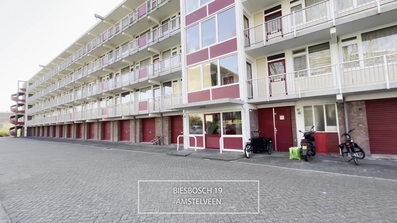 Video van Biesbosch 19