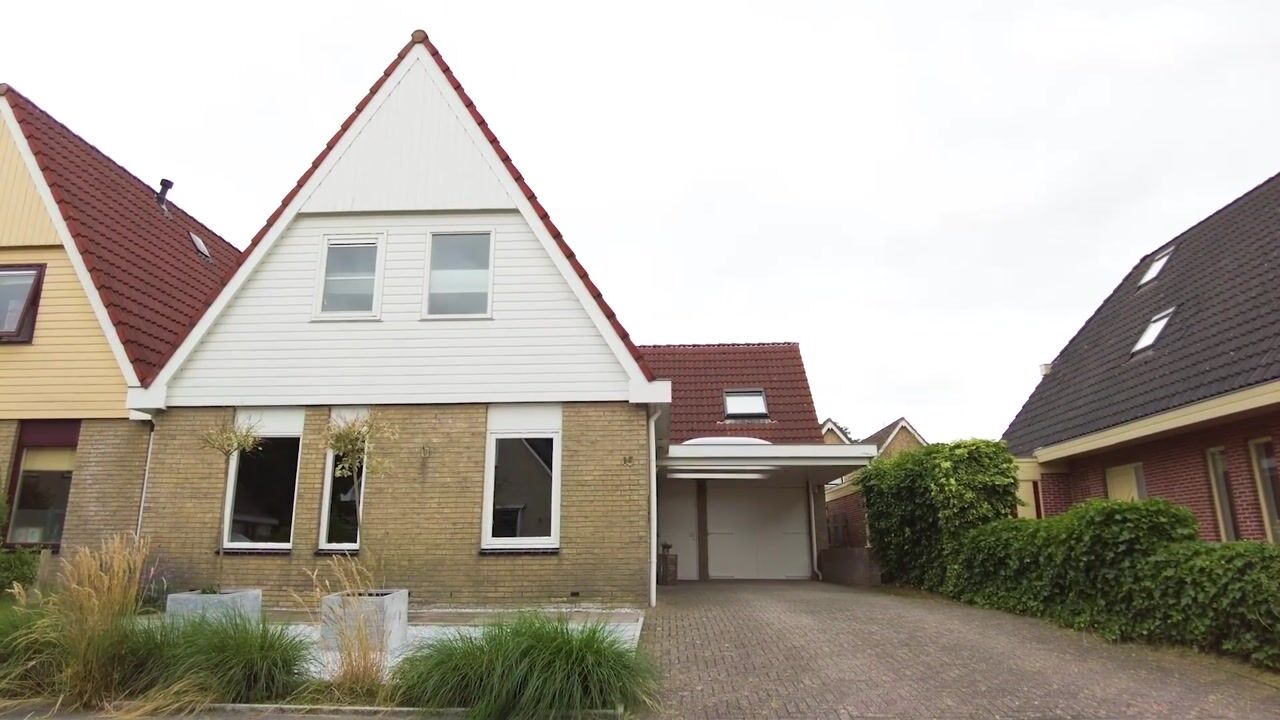 Video van Houtsnip 15