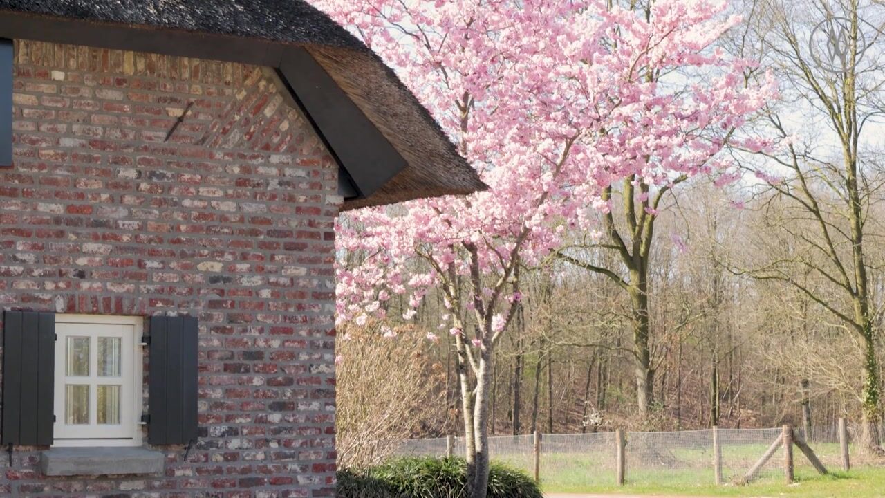 Video van Beerseweg 37