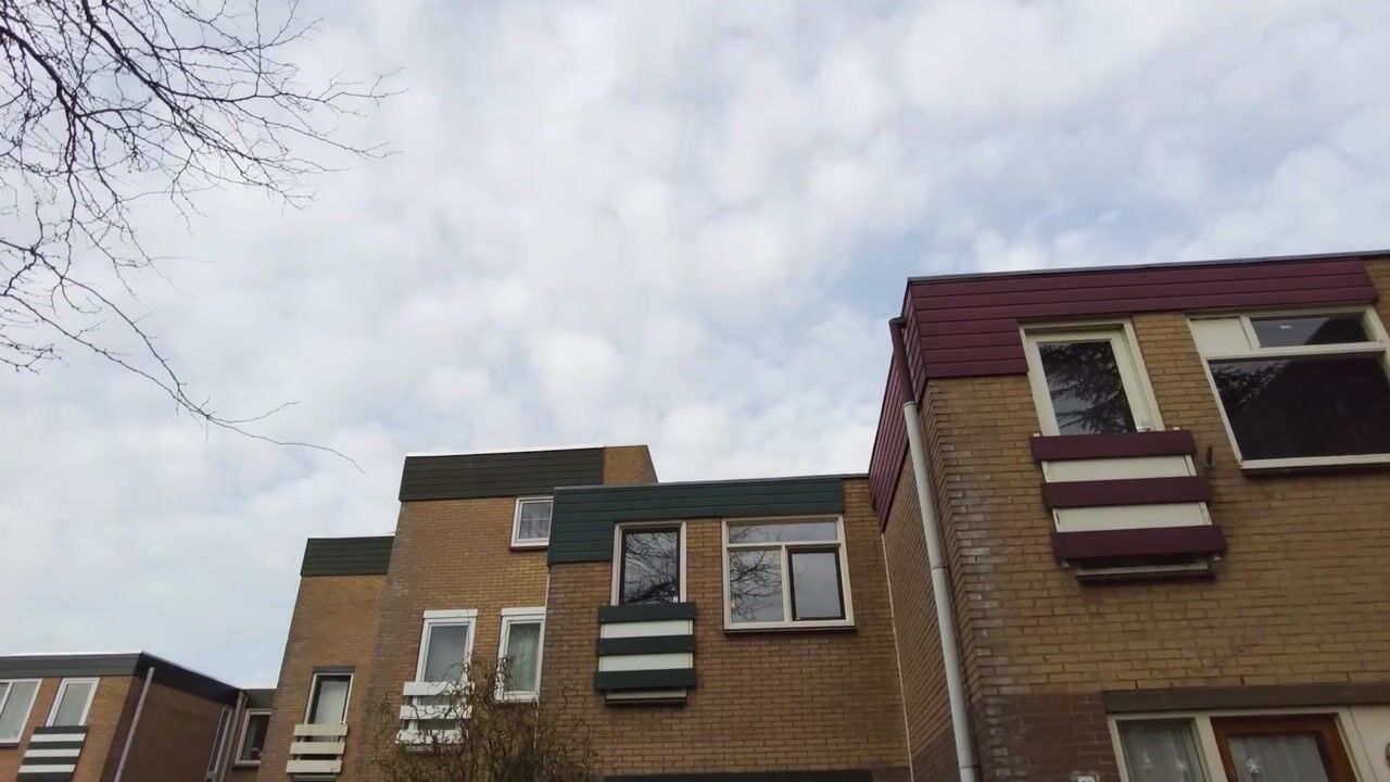 Video van Pijperpad 40