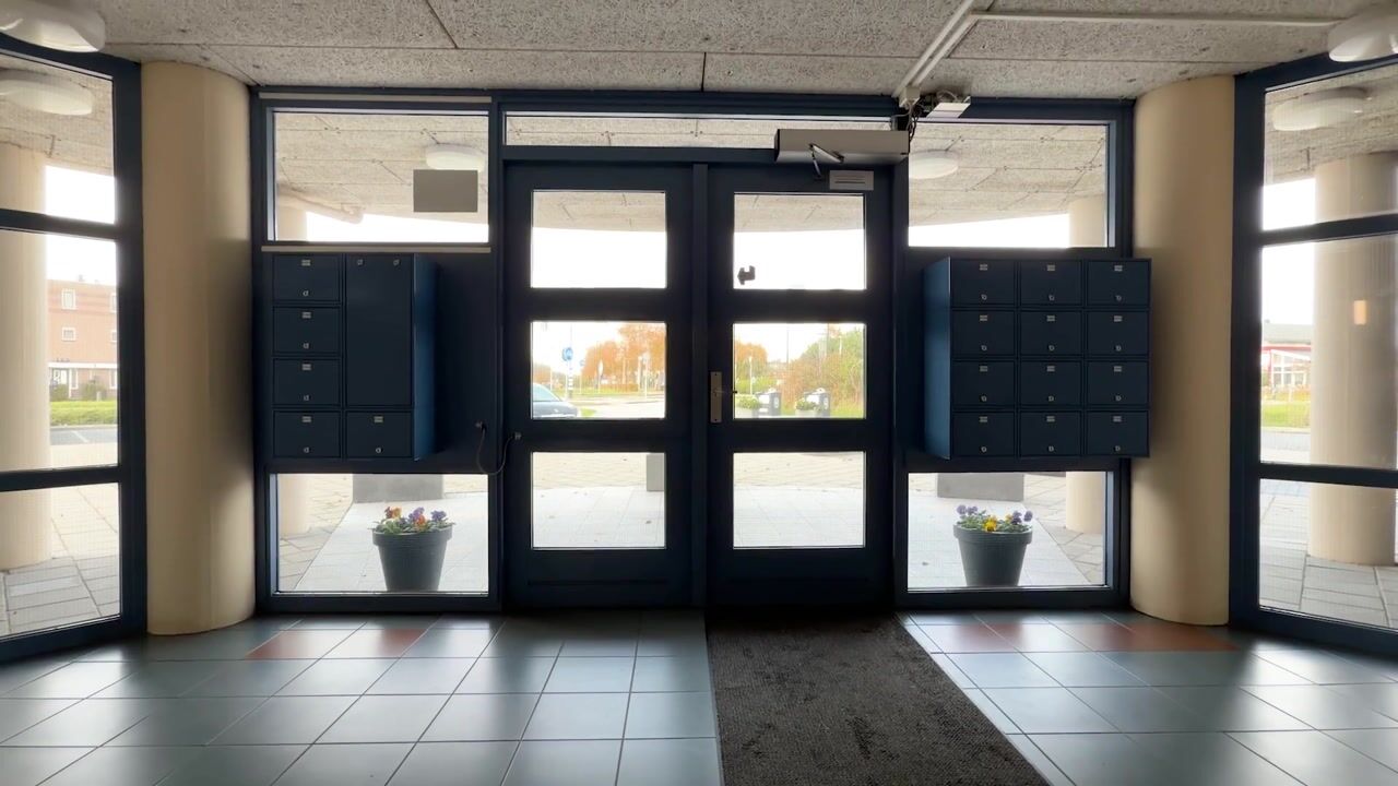 Video van Ringvaart 141