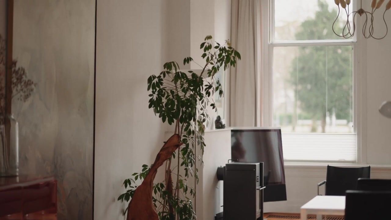 Video of Heemraadssingel 162