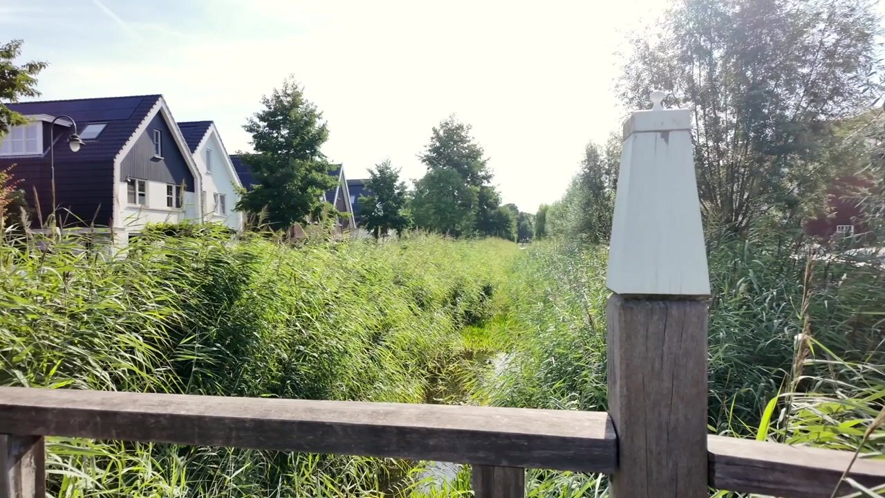 Video van Ruizendaallaan 77