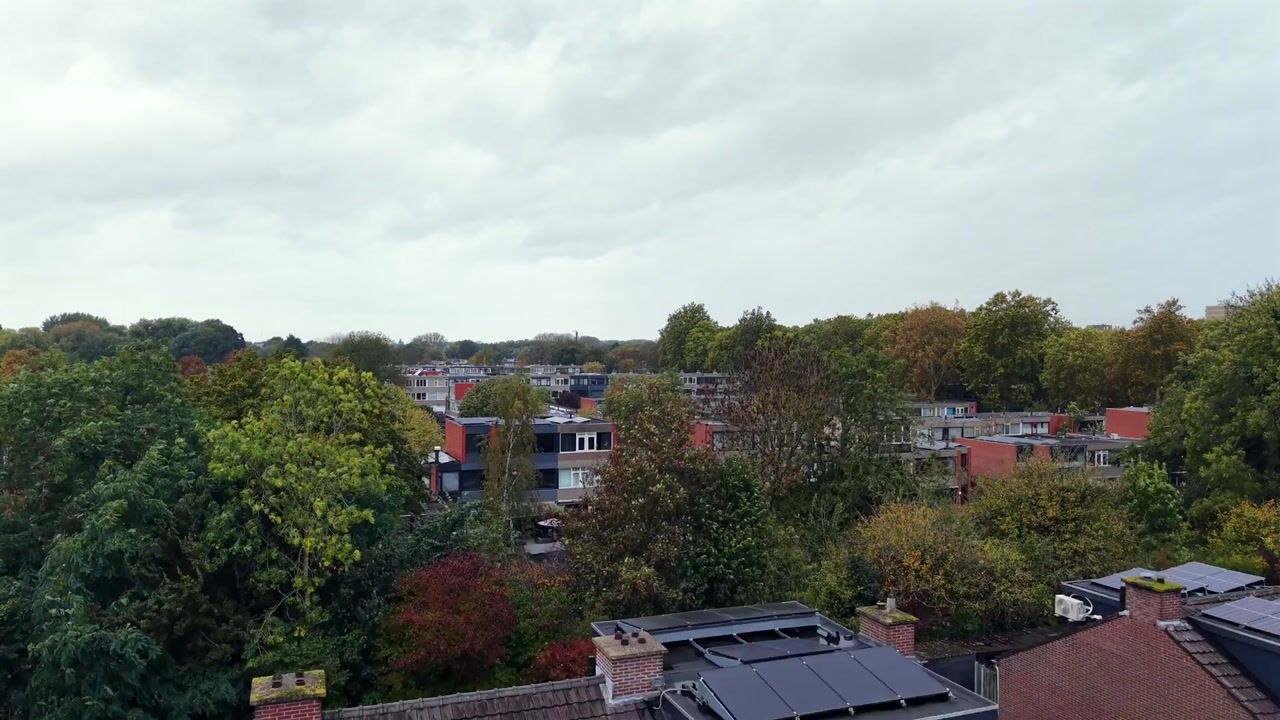 Video of Rijstgras 92