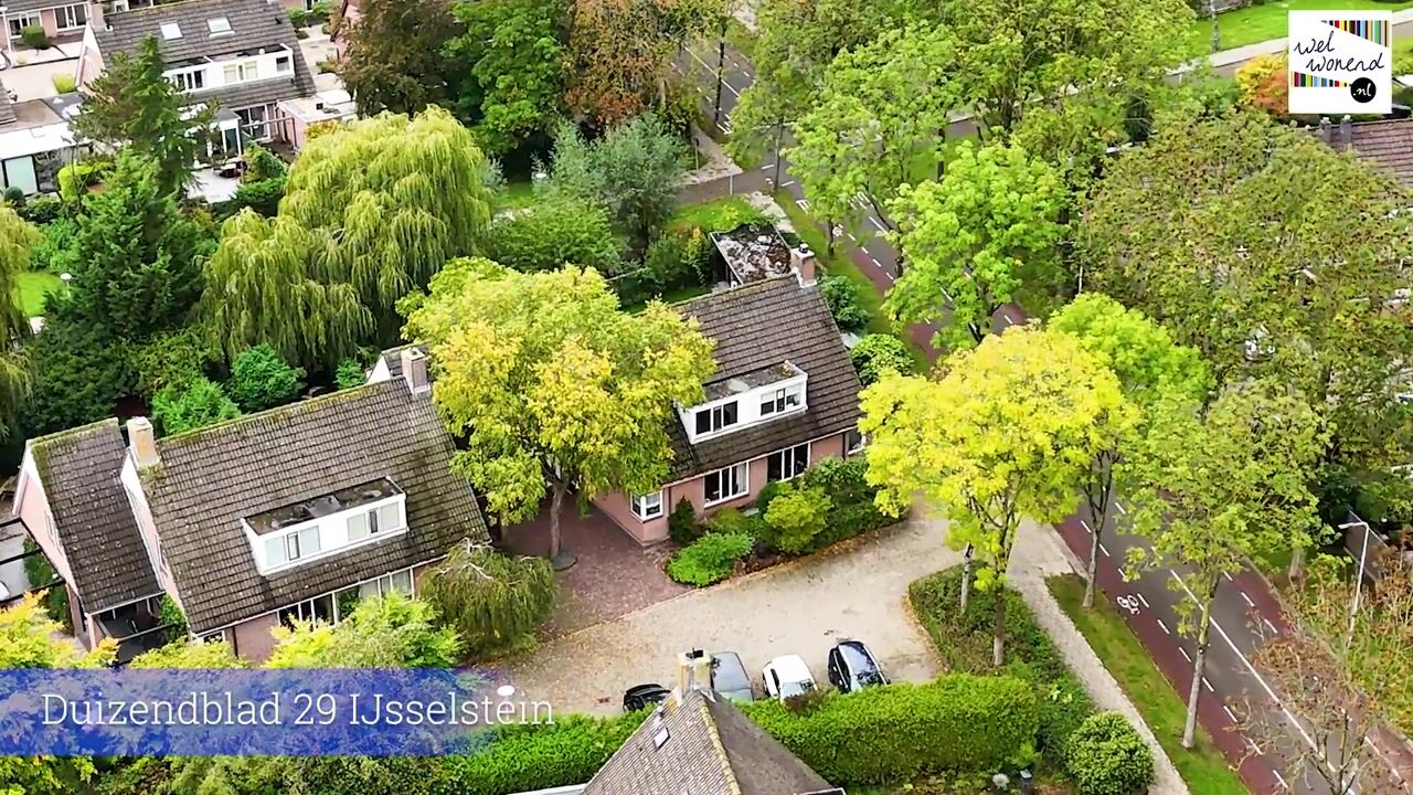 Video of Duizendblad 29