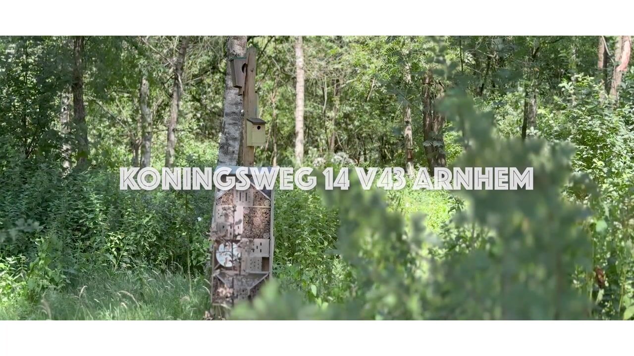 Video van Koningsweg 14-V43