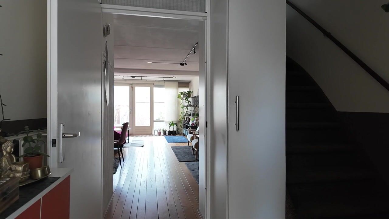 Video van Zilvermeeuw 18