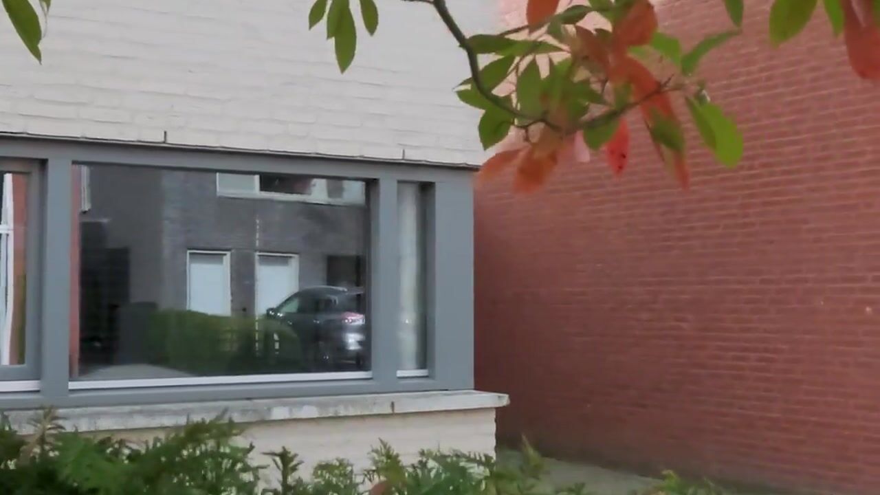 Video of Jean Monnetstraat 19