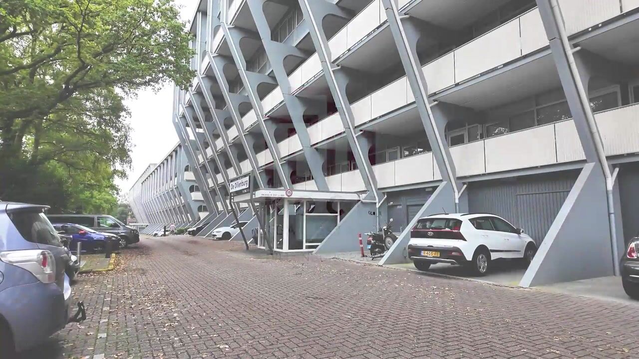 Video van Dillenburg 230