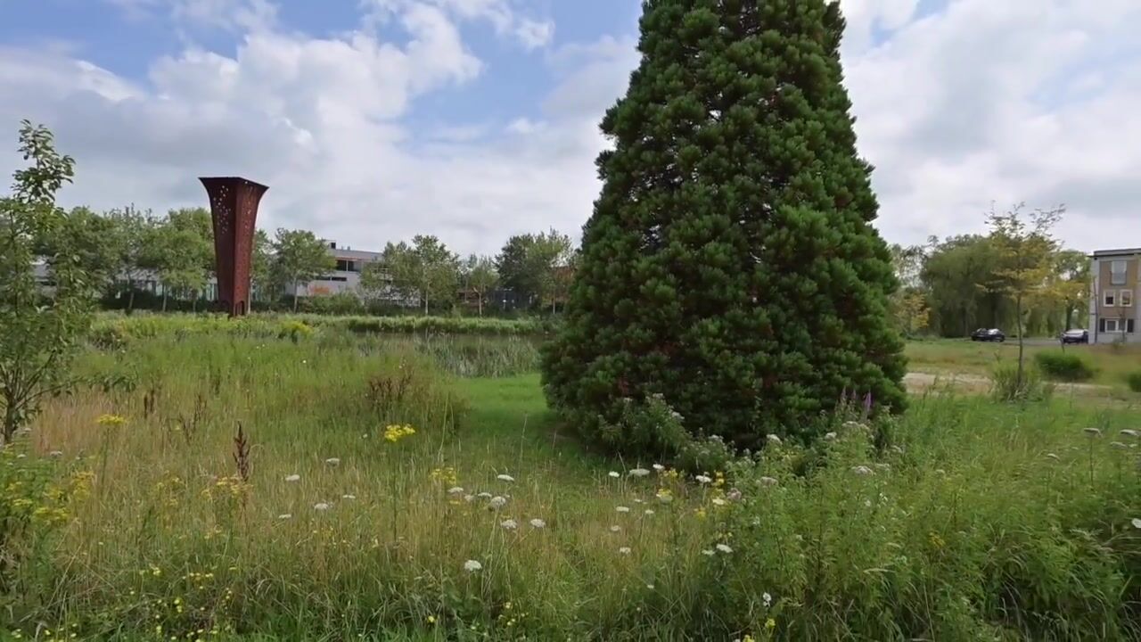 Bekijk video van Vrije Heerlijkheid 53