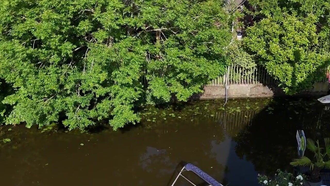 Video of Botersloot 10-A