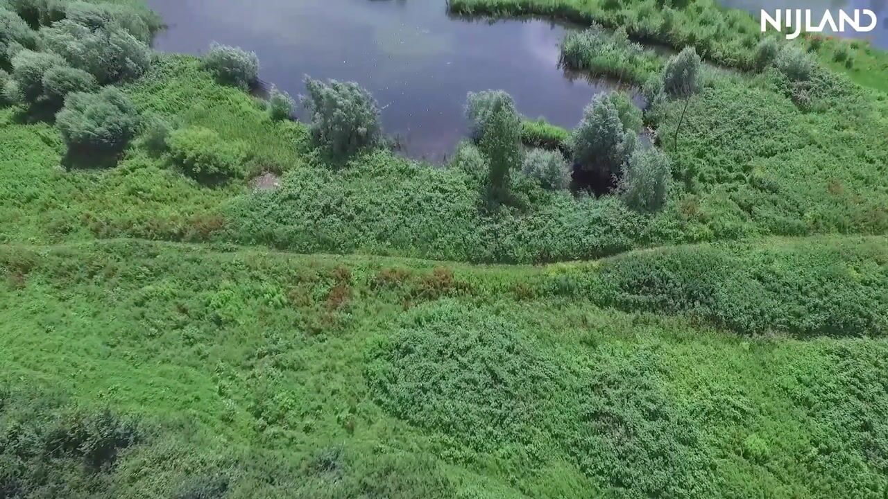 Video of Utrechtsestraatweg 41