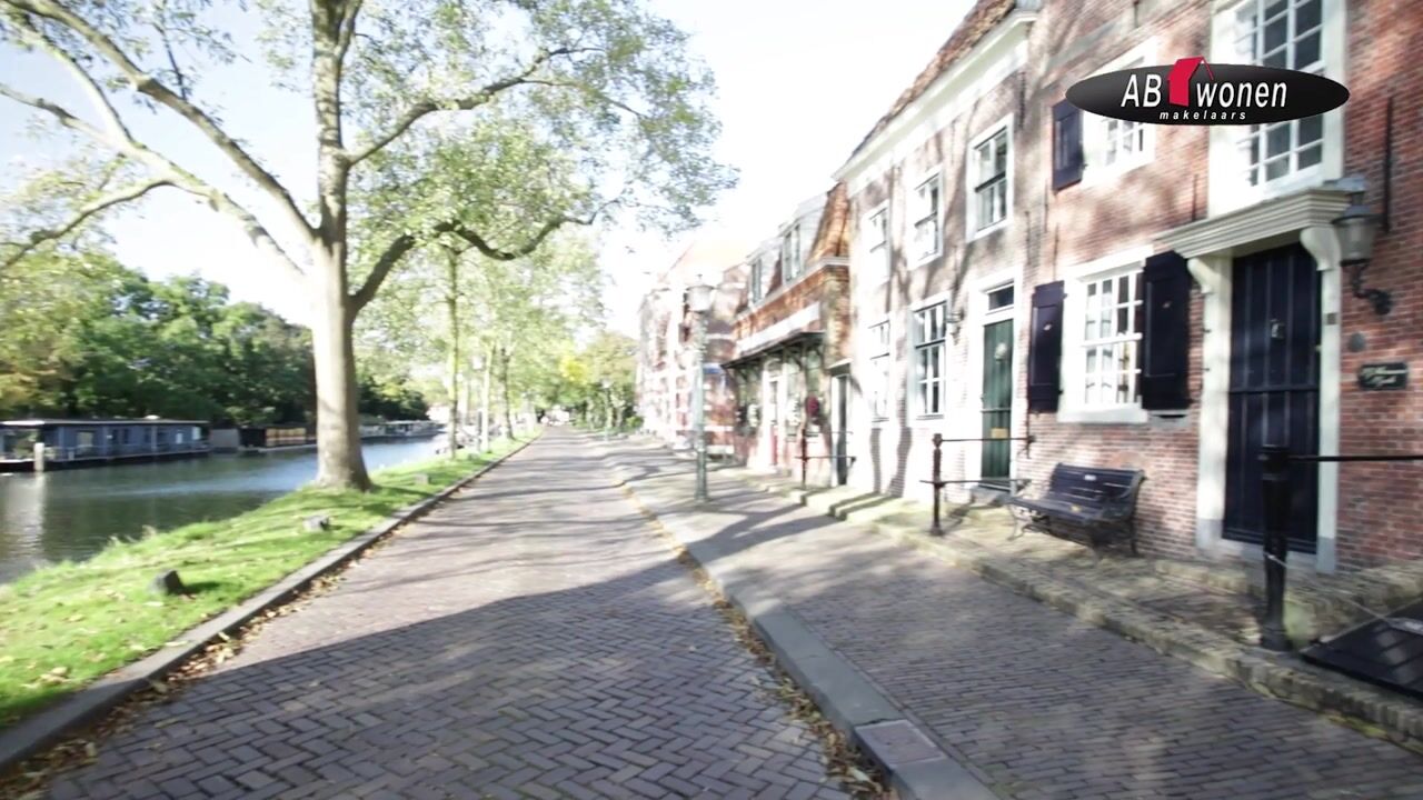 Video van Dijk 84