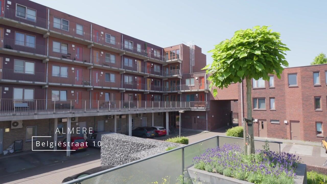 Video van Belgiëstraat 10